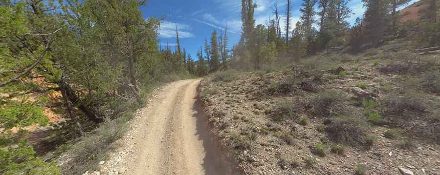 Forest OHV Trail 33089