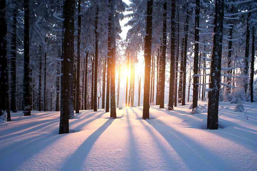 The Best Places in USA to Visit for Fun Outdoor Winter Activities