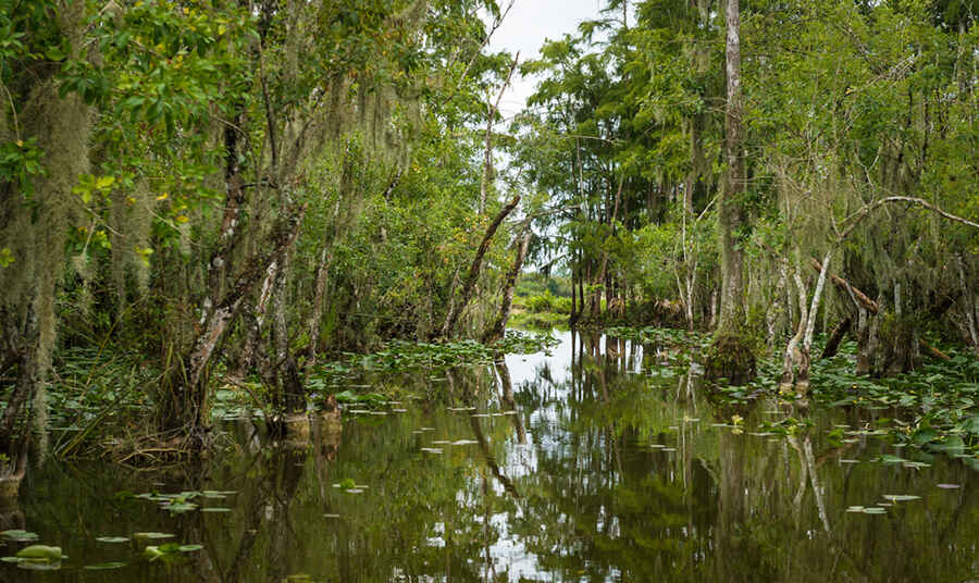 Things to Do in the Everglades National Park