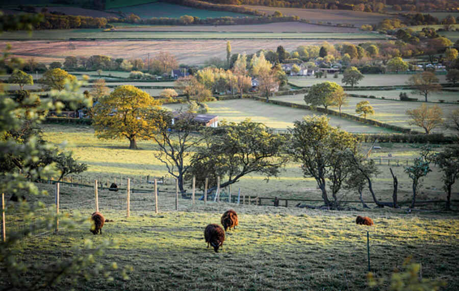7 Things to Consider Before Visiting England's Countryside