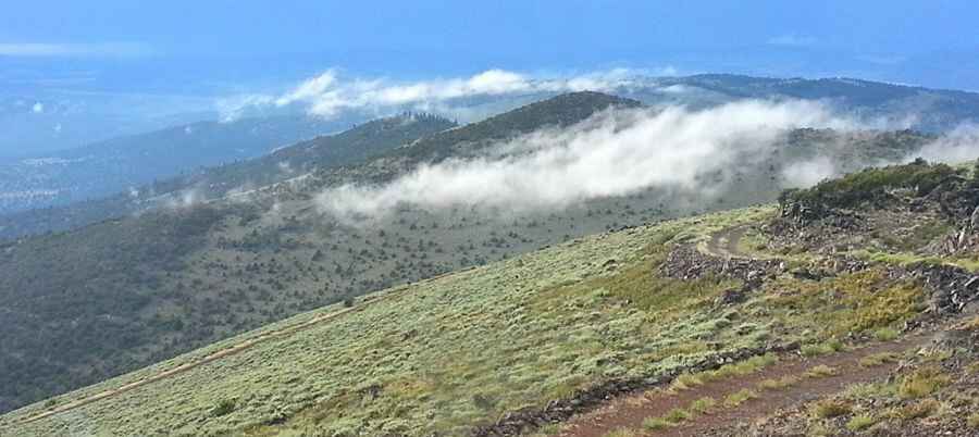 Fredonyer Peak