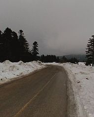 D575-Mt. Uludağ D575-Mt. Uludağ