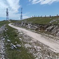 Paljenik Paljenik