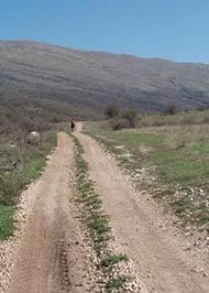 Šiljak Šiljak