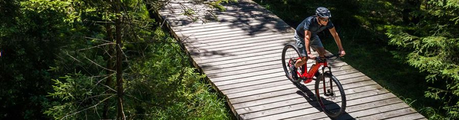 E-Bikes - The Vehicles of the Future E-Bikes - The Vehicles of the Future