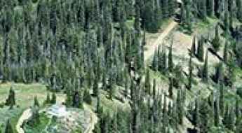 Deadwood Mountain
