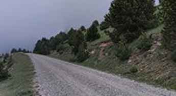 Collada Fonda