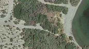 Sandy Wash