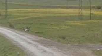 Zeyrek to Aşağı Özbağ road