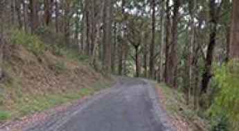 Basin-Olinda Road