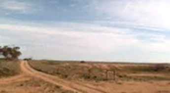 Googs Track