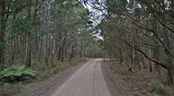 Wombeyan Caves Road