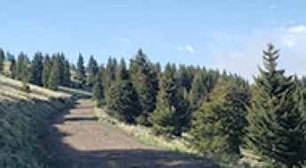 Mount Taylor