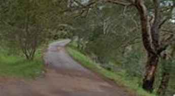 Zig Zag Scenic Drive