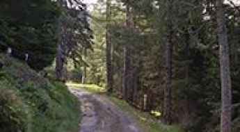 Alpe di Gesero