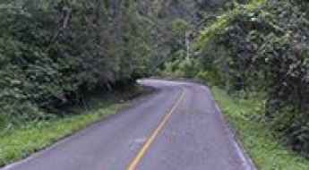 Carretera Federal 307