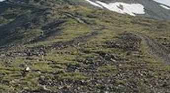 Mosquito Peak