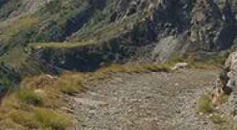 Colle Barant