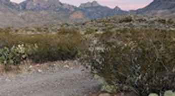 Juniper Canyon Road