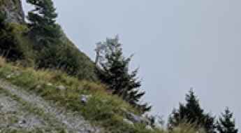 Monte Stol