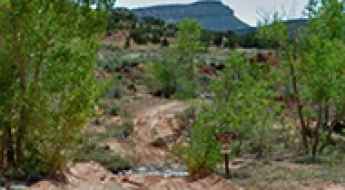 South Draw Road