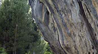 Garganta del rio Tajo