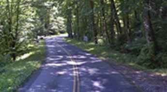 Tremont Road