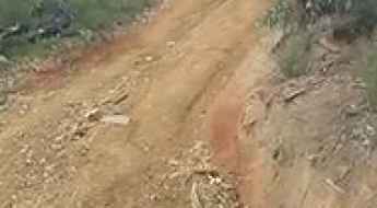Trig Track