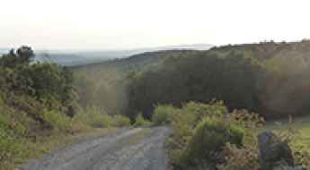 Monte Farelo