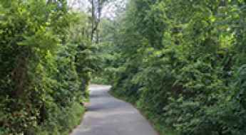 Most Haunted Roads on Long Island