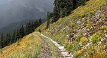 Eagle Pass
