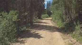 Forest Road 227