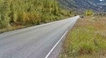 Lamoille Canyon Road