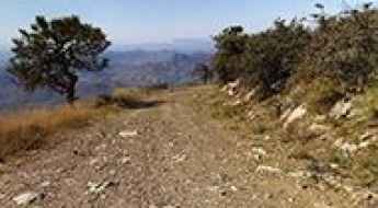 Mount Ord