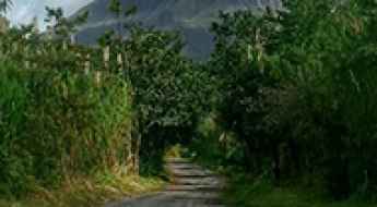 Arenal Volcano National Park Road