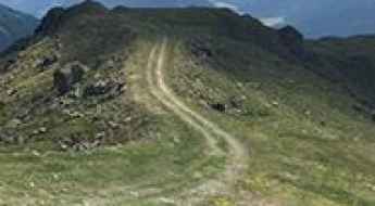 Thurntaler