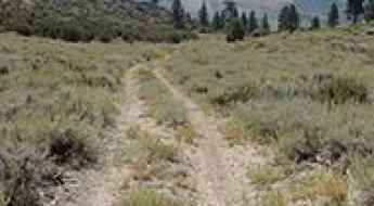 Upper Summers Meadow