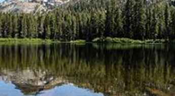 Where to Go for a Great Scenic Getaway   This fall, pack your bags and plan a weekend getaway to take in some of the natural beauty of the Western United States. In this article, we’ll share a few scenic spots that would make for an ideal weekend trip.  Bend, Oregon If you plan on making your trip out West this fall, then one spot to visit is Bend, Oregon which is located east of the Cascades in Central Oregon. Fall in love with the beautiful autumn foliage surrounded by awe-inspiring mountain views. It’s a great place to get out and enjoy a day in nature. Whether you’re planning a relaxing picnic or want to do something a little more active like hiking, fishing, or horseback riding.  Lake Tahoe, California  Come to Lake Tahoe to enjoy one of the highest alpine lakes in the United States. Spend your days on the lake and enjoy the tranquility of the natural scenery around the water. Visitors can rent kayaks, canoes, or paddle boards. If that’s not your thing, then rent a mountain bike to explore the land. There are also plenty of trails for hikers and backpacking enthusiasts.  Piestewa Peak, Arizona Finding a beautiful scenic view doesn’t always mean having to leave the city behind. In fact, if you scale the Phoenix Mountain Preserve then you’ll be able to look out and observe a jaw-dropping panoramic view of the Greater Phoenix area below. Enjoy the beauty of the city lights while sitting in the comfort and peace of the mountain top. It’s a great way to experience the best of both worlds.   If you like what you see and don’t want to leave, then search houses for rent in Phoenix to see what the city offers its residents. Perhaps you’ll find an ideal spot that fits your lifestyle and budget.  Arches National Park, Utah One of the most iconic images of Western National Parks are the mesmerizing natural sandstone arches. Head to Arches National Park in Utah to experience more than 2,000 of these beautiful red stone giants. While you’re there, make sure to visit the towering Balanced Rock located in the middle of the park.   Crater Lake, Oregon Want to visit the deepest lake in North America? If so, then head to Crater Lake in Oregon, where depths of the lake are just shy of 2,000 feet. The caldera is around six miles wide so there is plenty of room to walk and explore. Visitors can find park rangers nearby to inquire on the best locations to take pictures. Fishing enthusiasts can also contact ahead of time to inquire on fishing requirements.  Joshua Tree National Park, California One of the best reasons to spend a fall weekend at Joshua Tree National Park is that you’ll get to see the beauty of the fall colors without having to wear too many layers of clothing. Even in the fall, the weather in this part of California is still very warm and enjoyable. There are plenty of trails for hiking throughout the park for daytime adventures and if you happen to stay into the evening then you’ll want to pack a blanket or chairs to observe the picturesque night sky. 