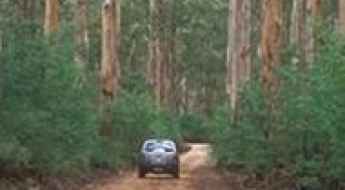 Boranup Drive