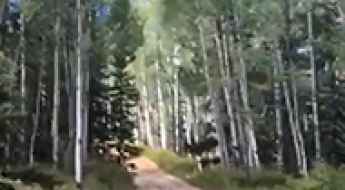 Browns Pass 