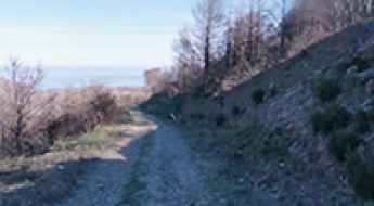 Coll de la Farella
