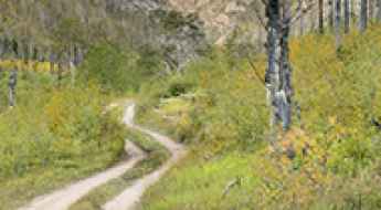 Colorado Off Road Trails