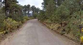 El Capulin