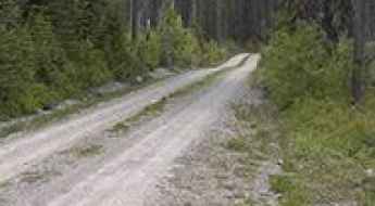 Inside North Fork Road