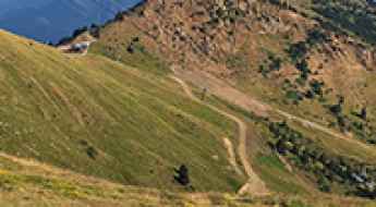 Pico Gallinero