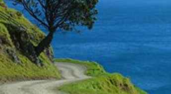 Port Jackson Road