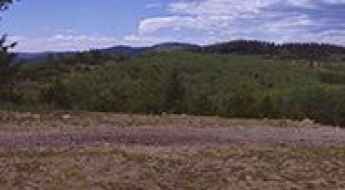 Sacramento Peak