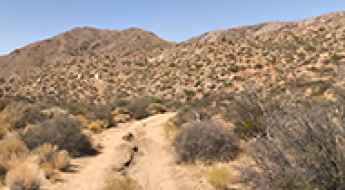 Wild Horse Road