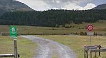 Alp Mora