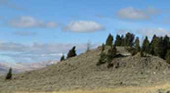 Blacktail Mountain